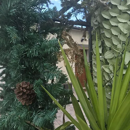 B&B L'angolo Degli Etruschi